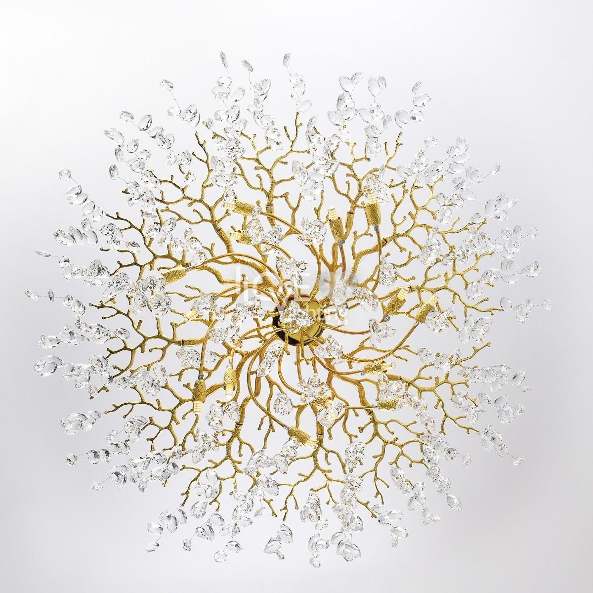 lady　0226 Damska Koszulka z krótkim rękawem HI-TEC LADY AMELI