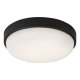 Lampa natynkowa ścienna LED 14W IP54 HORT2 77223 Rabalux