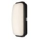 Lampa natynkowa ścienna LED 15W IP65 ORLUN 77229 Rabalux