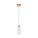 Lampa wisząca BOSCO 1720160 Spot-Light