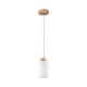 Lampa wisząca BOSCO 1720174 Spot-Light