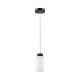 Lampa wisząca BOSCO 1720176 Spot-Light