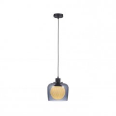 Lampa wisząca CALOPUS 2098-25 Paul Neuhaus