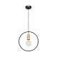 Lampa wisząca CARSTEN WOOD 1650174 Spot-Light