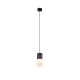 Lampa wisząca ROBIN 310600101 Trio