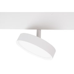 Lampa reflektor spot szynowy Spotlight 12W Zigbee MAGNETIC biała M0042Z MaxLight