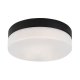 Lampa sufitowo-ścienna łazienkowa LED 15W GAELO 75025 Rabalux