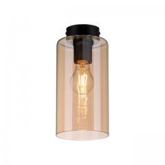 Lampa sufitowa ASPARA 6169-27 Paul Neuhaus