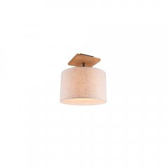 Lampa sufitowa ELMAU 602100130 Trio