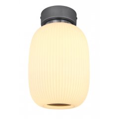 Lampa sufitowa LED 21W BOOMER 15437D1 Globo