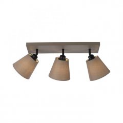 Lampa sufitowa RIALA 11902-29 LeuchtenDirekt