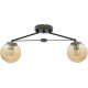 Lampa sufitowa ROSA 2100/2 BLACK Elem