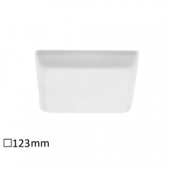 Lampa sufitowa wpuszczana LED 12W OLEG 5372 Rabalux