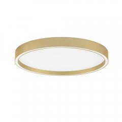 Plafon LED 14W TOCACHE LE44875 Luces Exclusivas