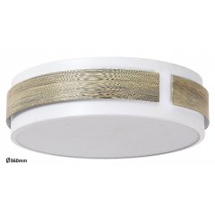 Plafon LED 18W SALMA 5645 Rabalux