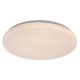 Plafon LED 22W DANNY2 71445 Rabalux