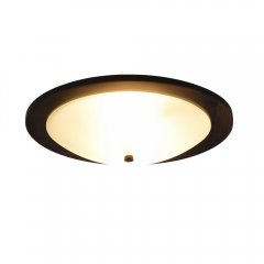 Plafon PALI 612600256 Trio