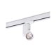 Lampa reflektor spot szynowy SANTOS TRACK 3LINE AZ4202 Azzardo