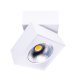 Oprawa natynkowa spot biały ARTU C0106 MaxLight