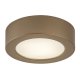 Lampa sufitowa zewnętrzna LED 7W IP44 SHAUN PLUS 75077 Rabalux
