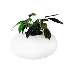 Lampa stołowa Flora AZ0185 Azzardo