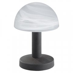 Lampa stołowa FYNN II 599100124 Trio