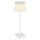 Lampa stołowa przenośna USB LED 4W GREGOIR 58434W Globo