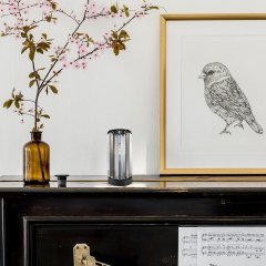 Lampa stołowa VENESS 74206 Rabalux