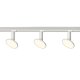Zestaw x3szt. reflektorów szynowych 1F LED 12W AQUILION LP-220/1R WH SET Light Prestige