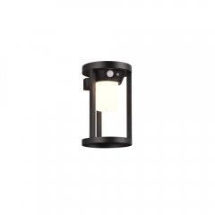 Kinkiet zewnętrzny solarny z czujnikiem CARMO 241069132 Trio