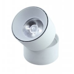 Lampa reflektor spot LED 15W CRESTON II TP-F015-BIAŁA Auhilon