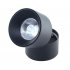 Lampa reflektor spot LED 15W CRESTON II TP-F015-CZARNA Auhilon